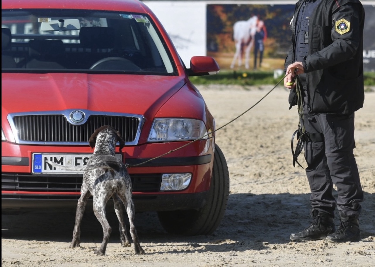 Policijski pes na travniku napadel in ugriznil nič hudega slutečega občana