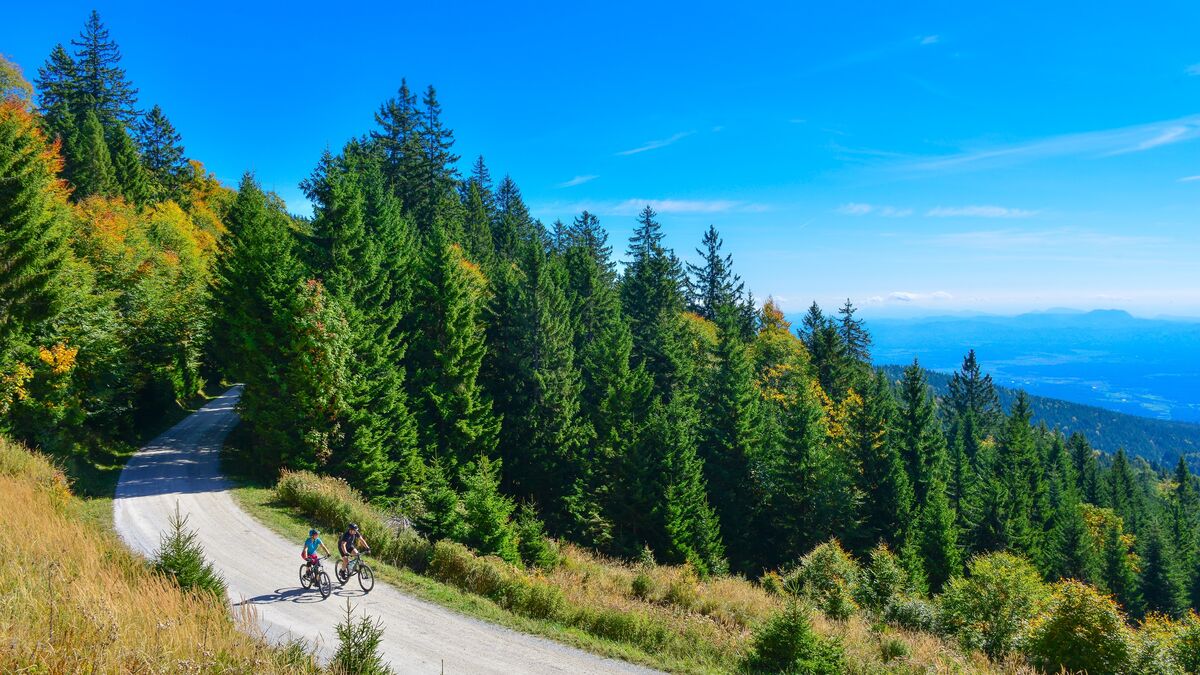 Kaj povezuje Maribor, Kope, Roglo in druge turistične dragulje Pohorja?