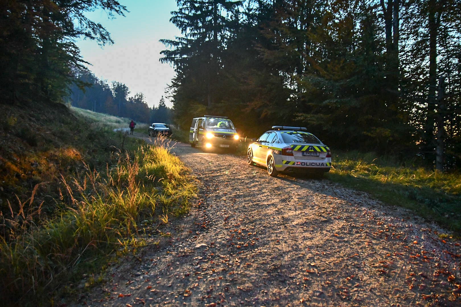 Predrzna tatvina: Storilec požagal in odpeljal več dreves