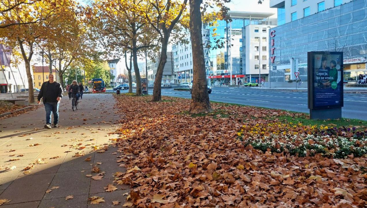 Takšno vreme nas čaka v naslednjem tednu