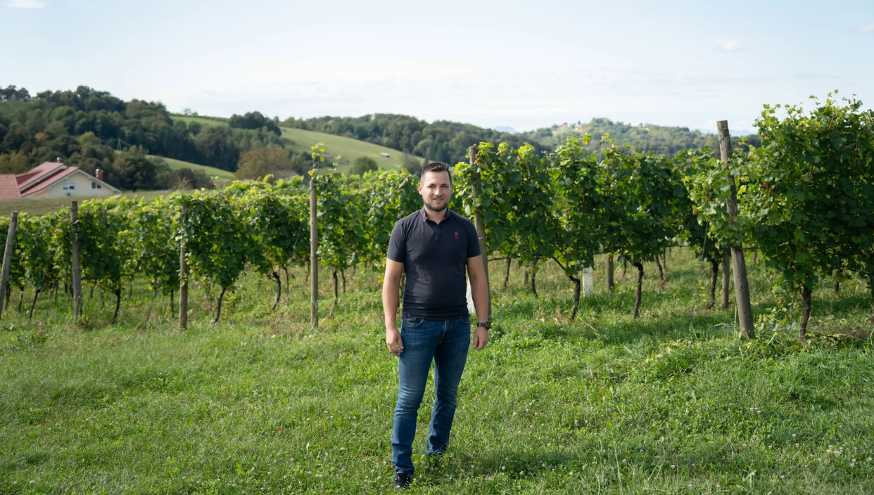 V e-trsnici družine Vršič lahko svoj vinograd »sestavite« kar preko spleta