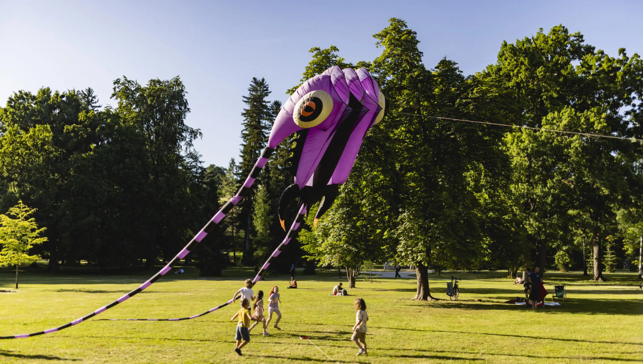 Tudi iztek avgusta v znamenju Art kampa, zaradi katerega mariborski park prav zares živi