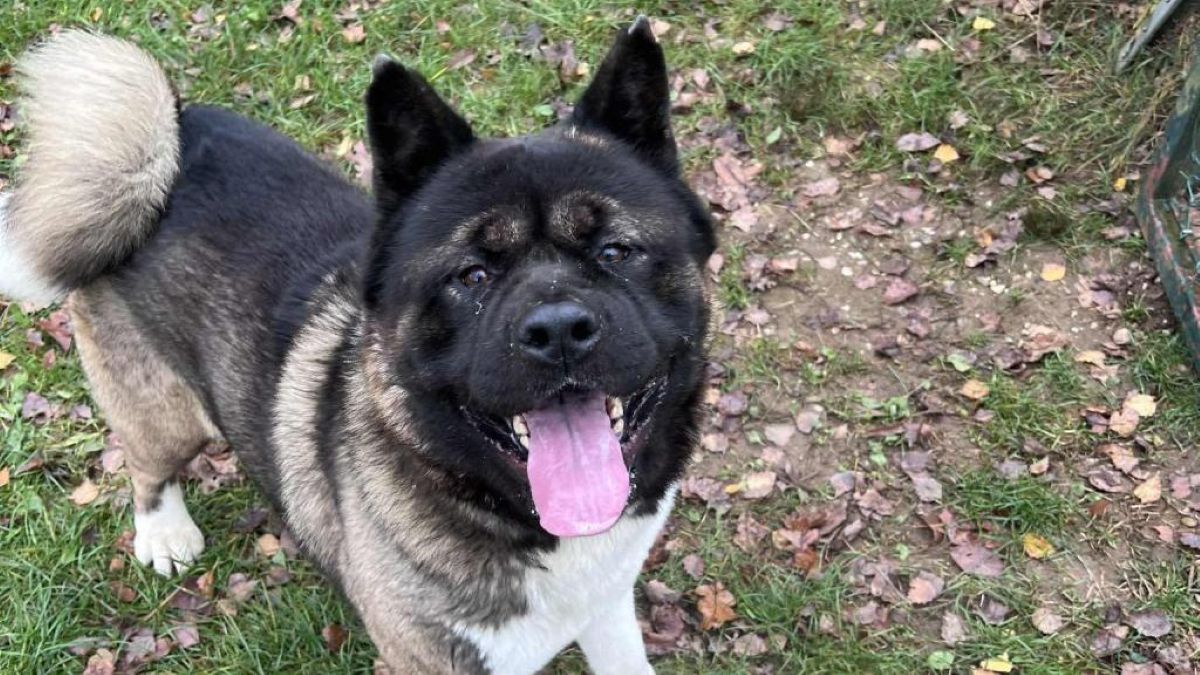 Nerotu življenje ni prizaneslo, a v njegovih očeh še vedno tli upanje