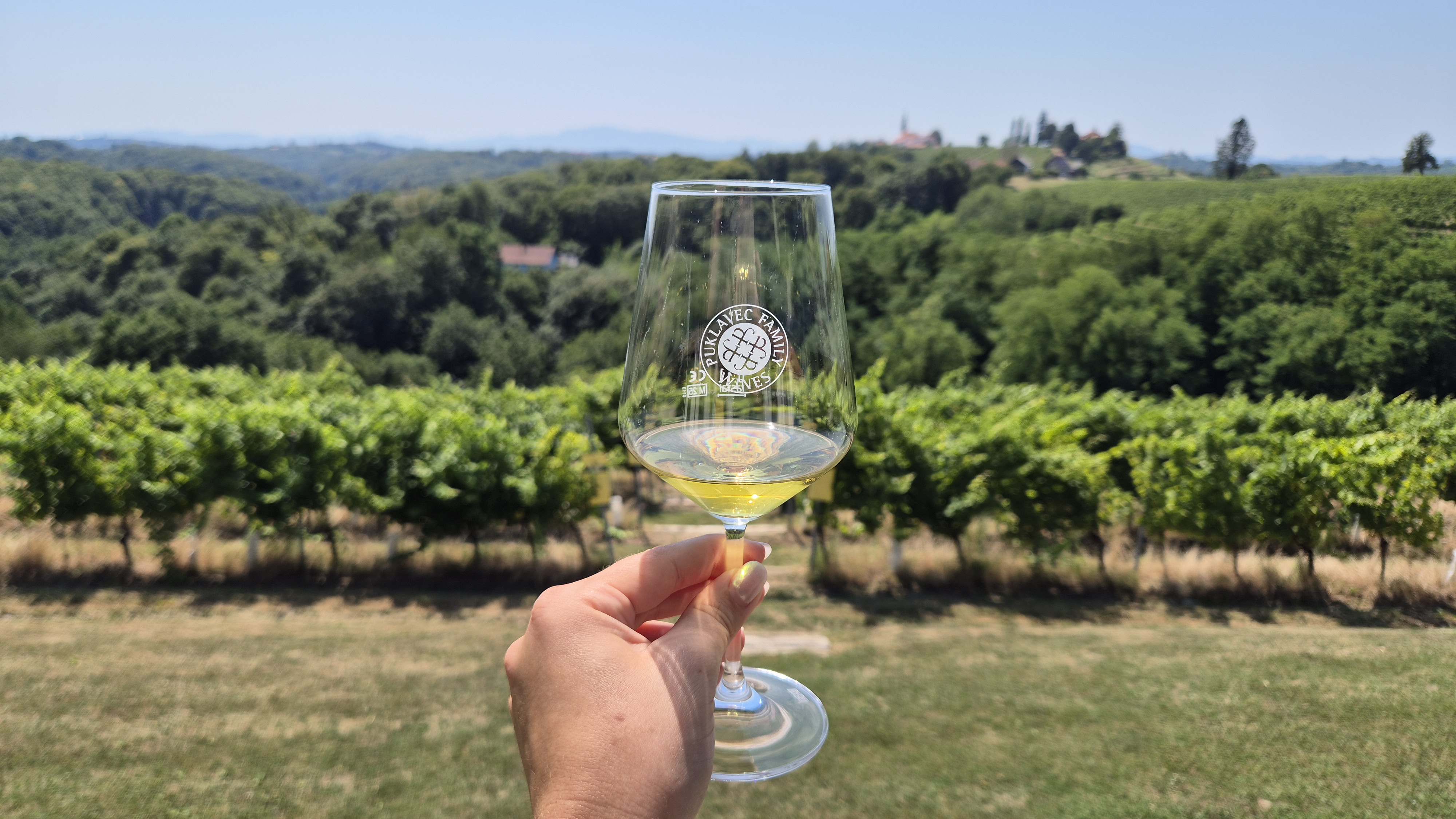 FOTO: Pričakala sta nas vino s popolnimi 100 točkami in pristna prleška gostoljubnost
