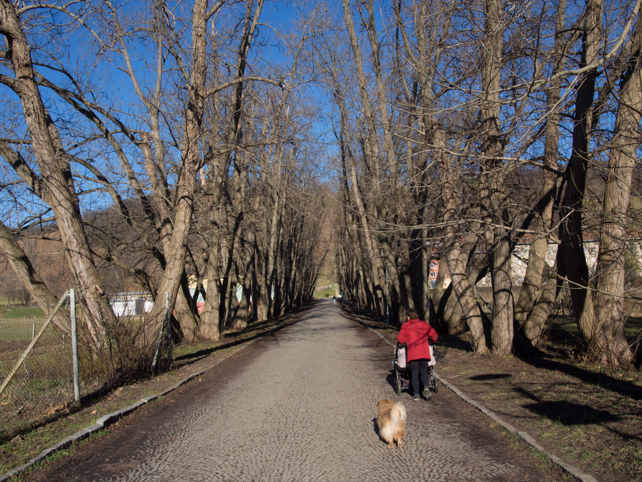 Meteorologi razkrili: Če komaj čakate na toplejše vreme, napovedi za april ne boste veseli