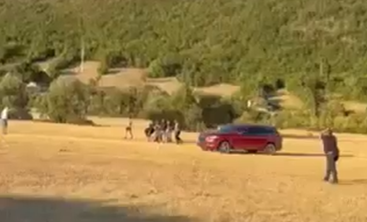 VIDEO: Groza na konjskih dirkah, moški z avtomobilom namenoma zapeljal v množico in poškodoval več oseb