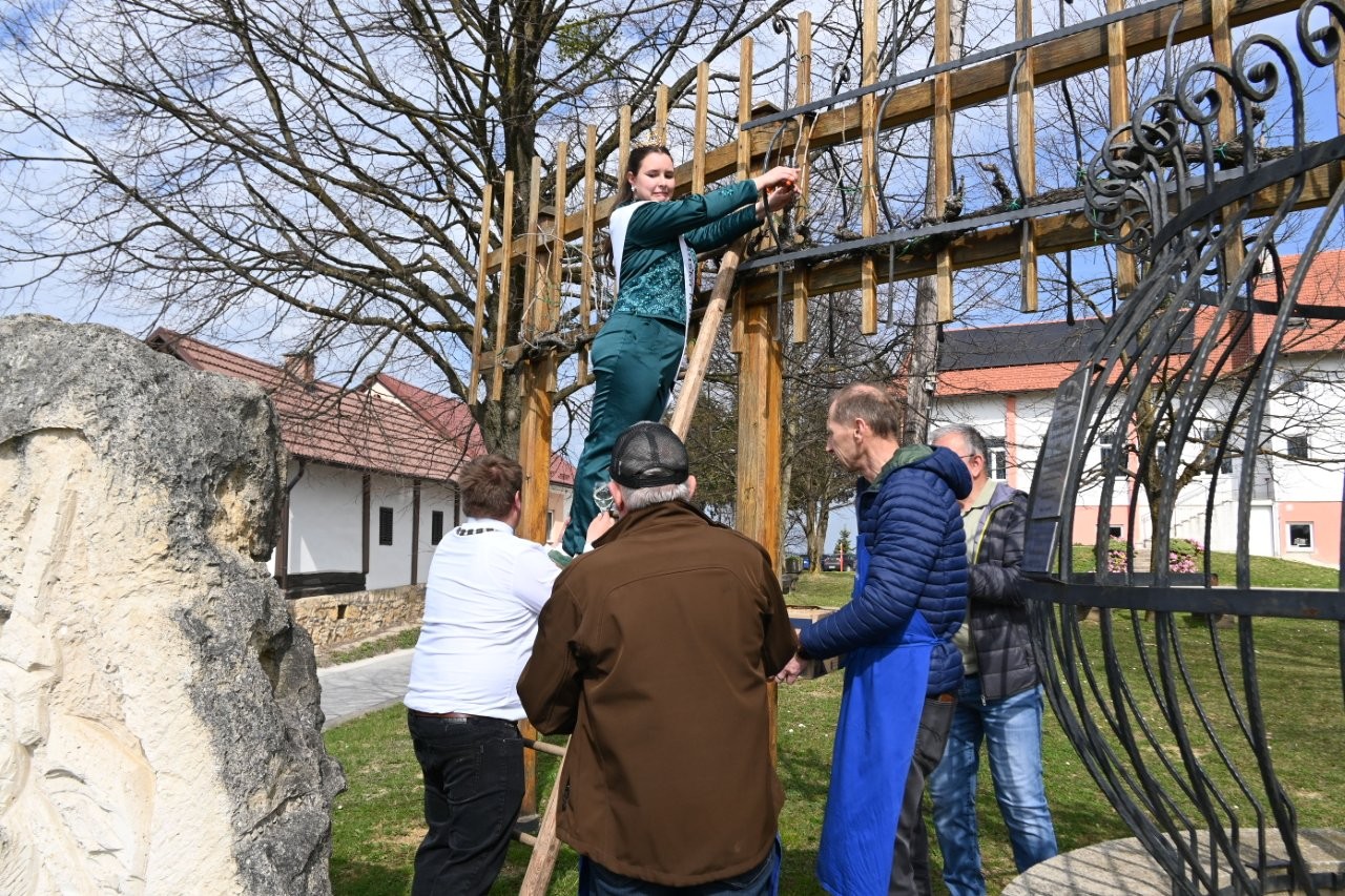 FOTO: V Cerkvenjaku tradicionalno obrezali Johanezovo trto in podelili njene cepiče
