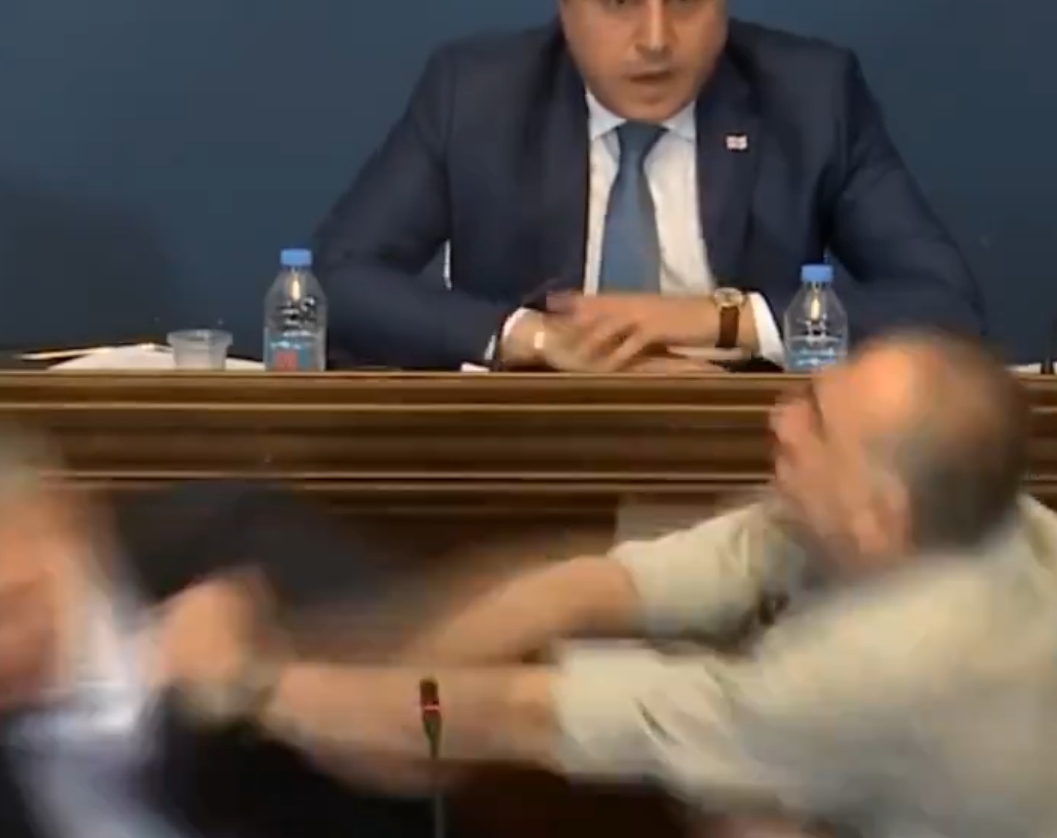 VIDEO: V parlamentu zaradi spornega zakona pele pesti