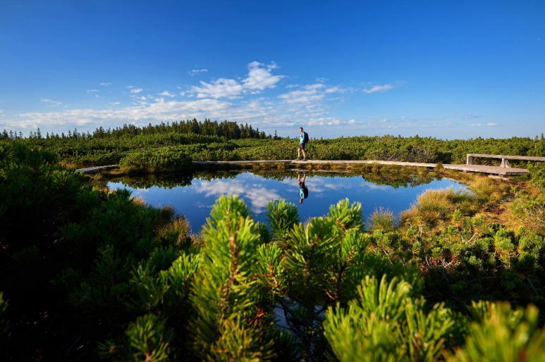 Regijski park Pohorje praznuje prvo leto delovanja