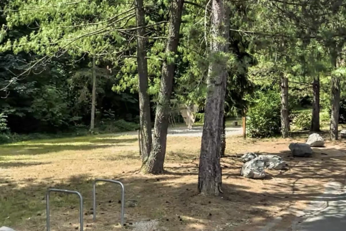 Mariborska občina napovedala: V Mariboru kmalu večje igrišče