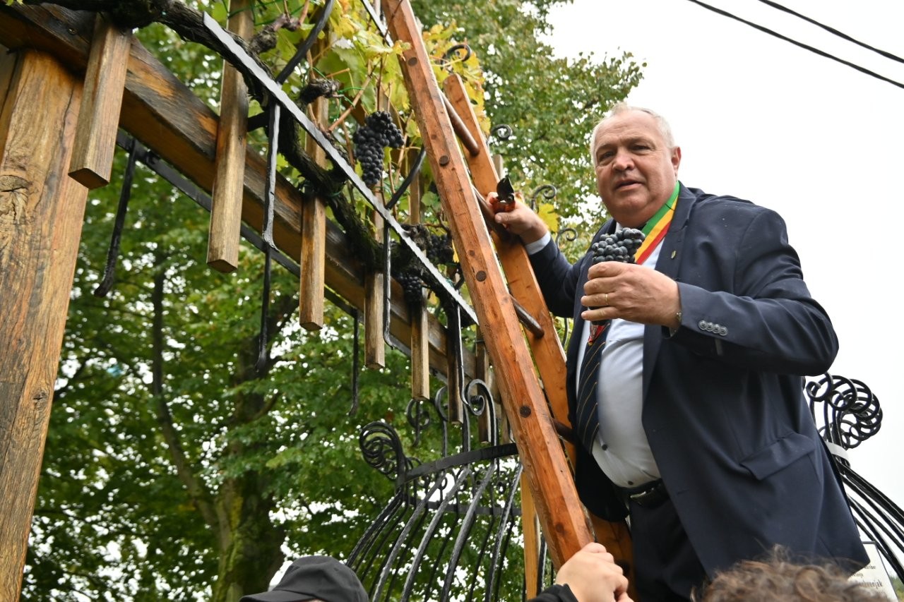 FOTO: Kljub slabemu vremenu dober obisk na trgatvi Johanezove trte v Cerkvenjaku