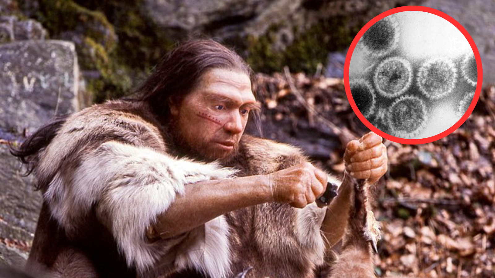 Groza iz preteklosti: Znanstveniki bodo obudili viruse, ki so morda ubili Neandertalce