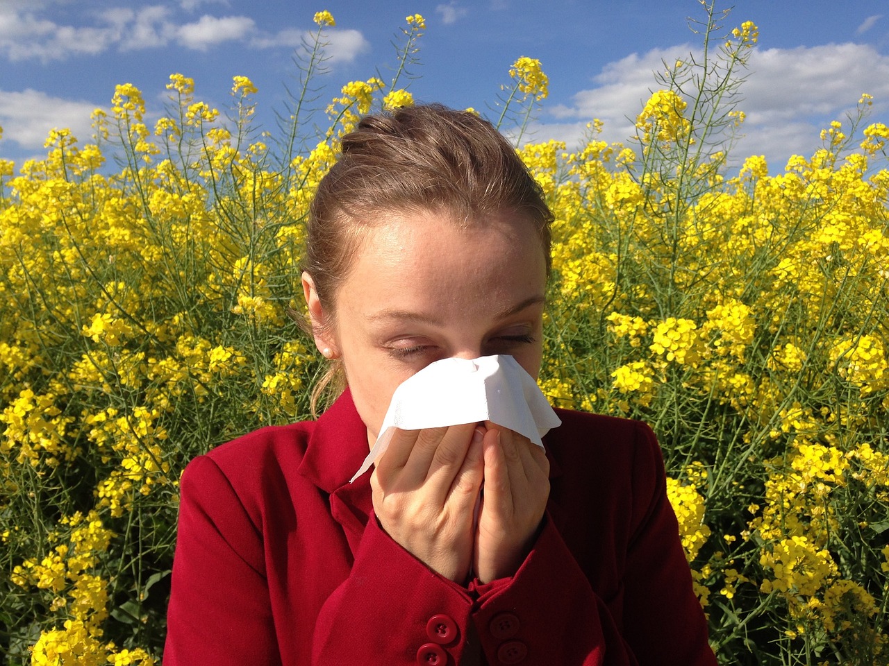Cvetni prah: Kdaj in kje bo obremenitev za alergike najhujša?