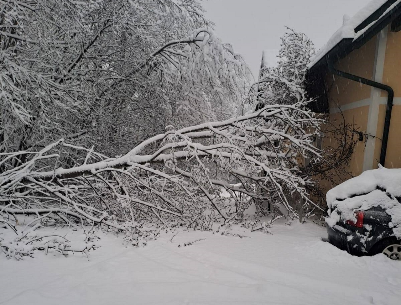 Tudi v Avstriji sneg povzroča velike težave v prometu in pri oskrbi z elektriko
