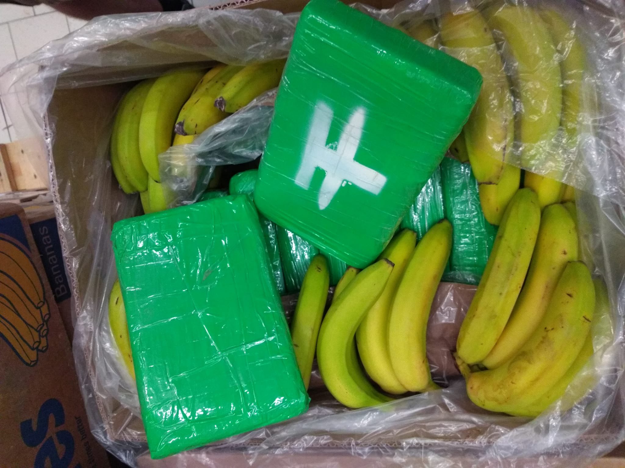 V bananah tihotapili 3,5 tone kokaina namenjenega v Evropo