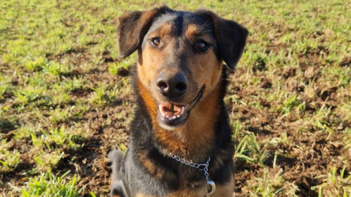 Ko ljubi, ljubi z vsem srcem: Beti bi za 'svoje ljudi' naredila vse, a ji nihče ne da priložnosti