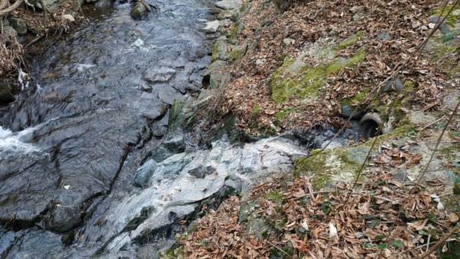 V Občini Hajdina obsežen projekt odvajanja in čiščenja odpadne vode