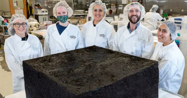 Rekord: 20.000 miligramov THC-ja v enem samem brownieju