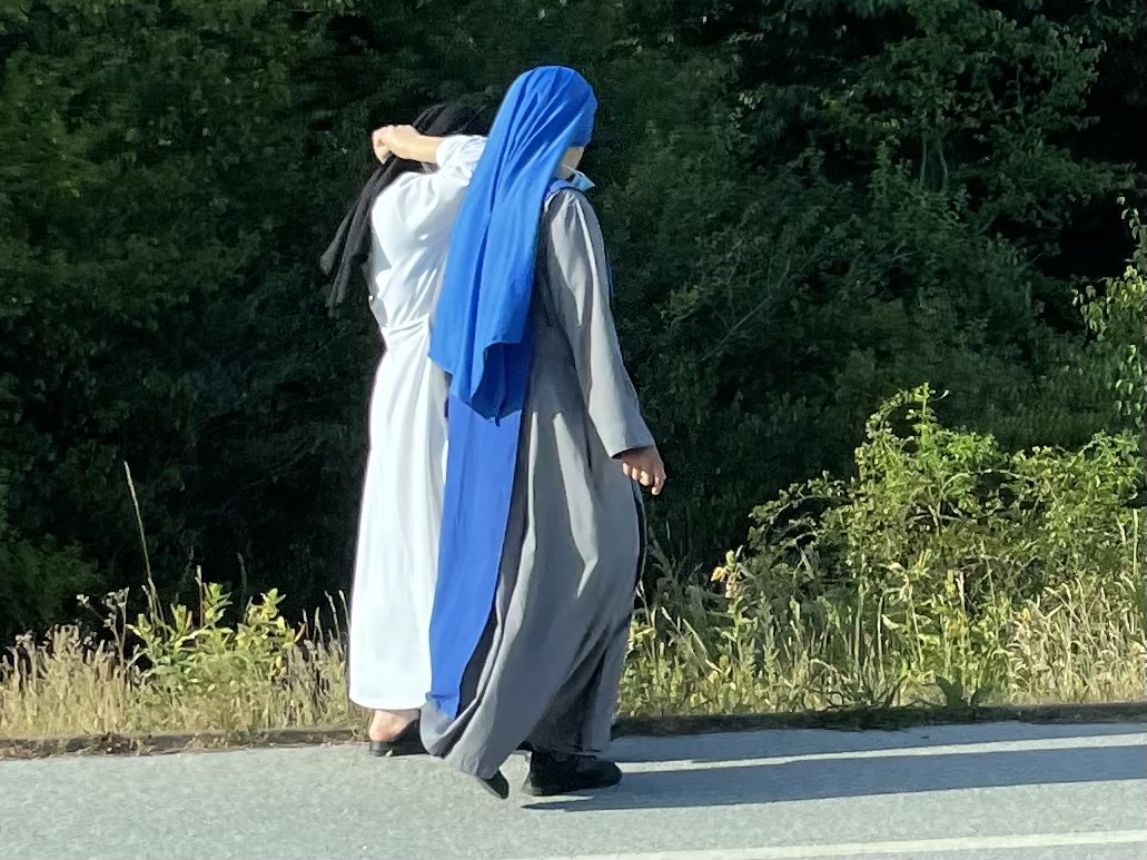 FOTO: Kaj ob vzhodni mariborski obvoznici počnejo nune?