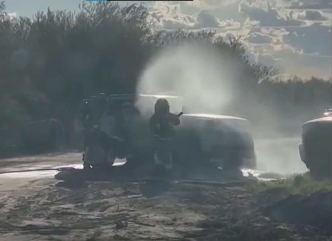 VIDEO: Roj ubijalskih čebel napadel žensko in njena otroka