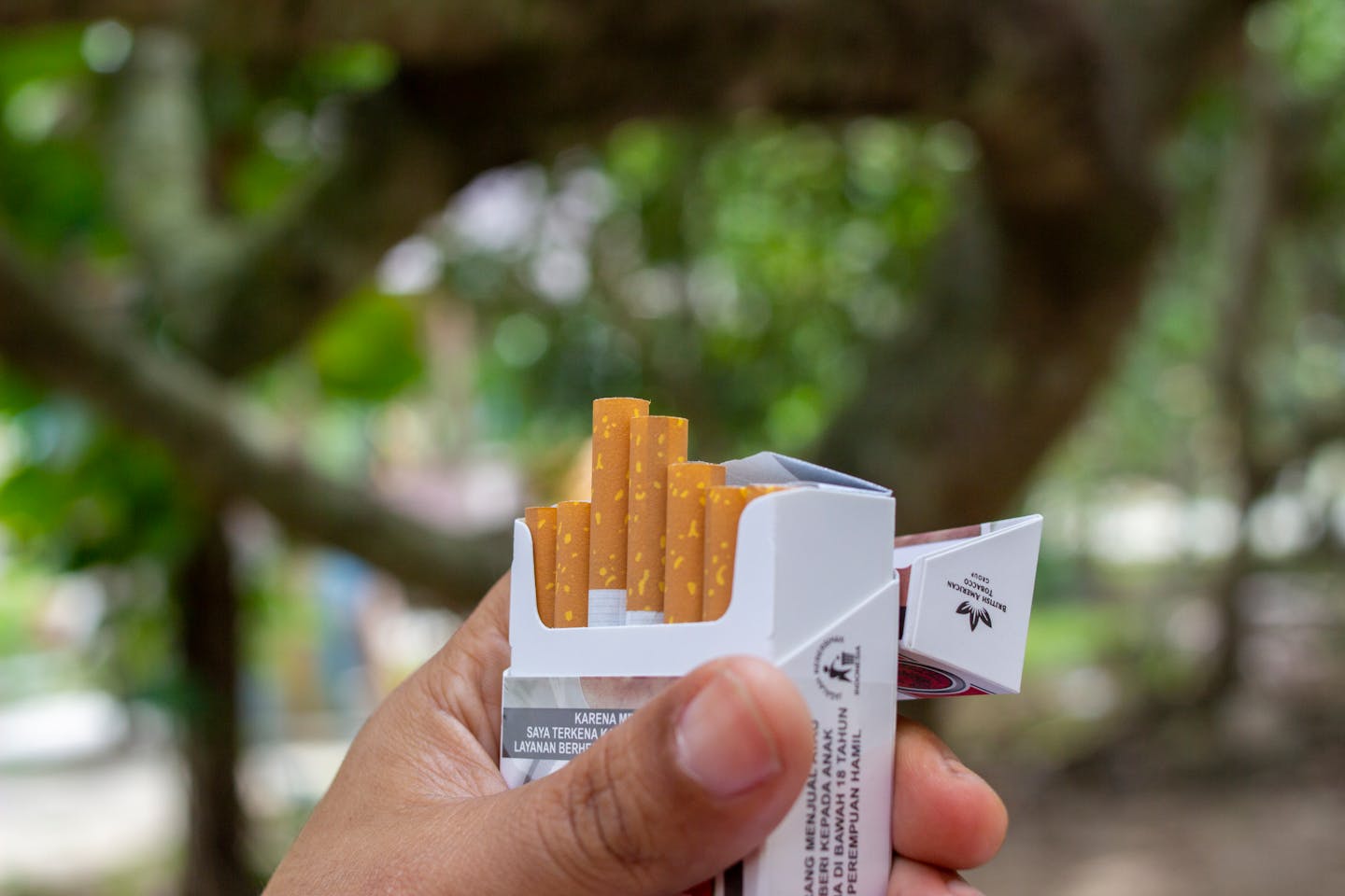 Slaba novica za kadilce, z junijem se ponovno dražijo cigareti in tobak