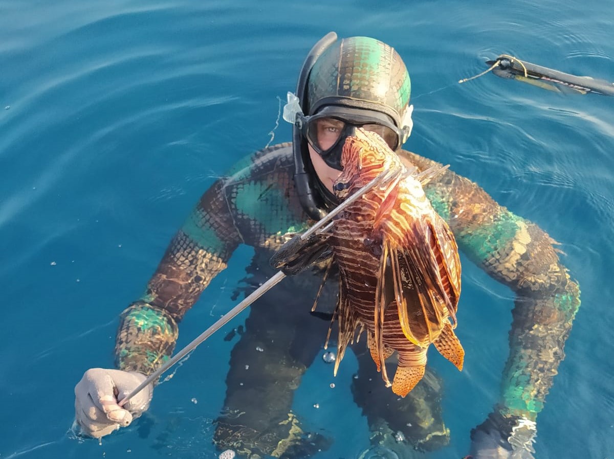 Pri Korčuli opazili tropsko ribo s strupenimi bodicami