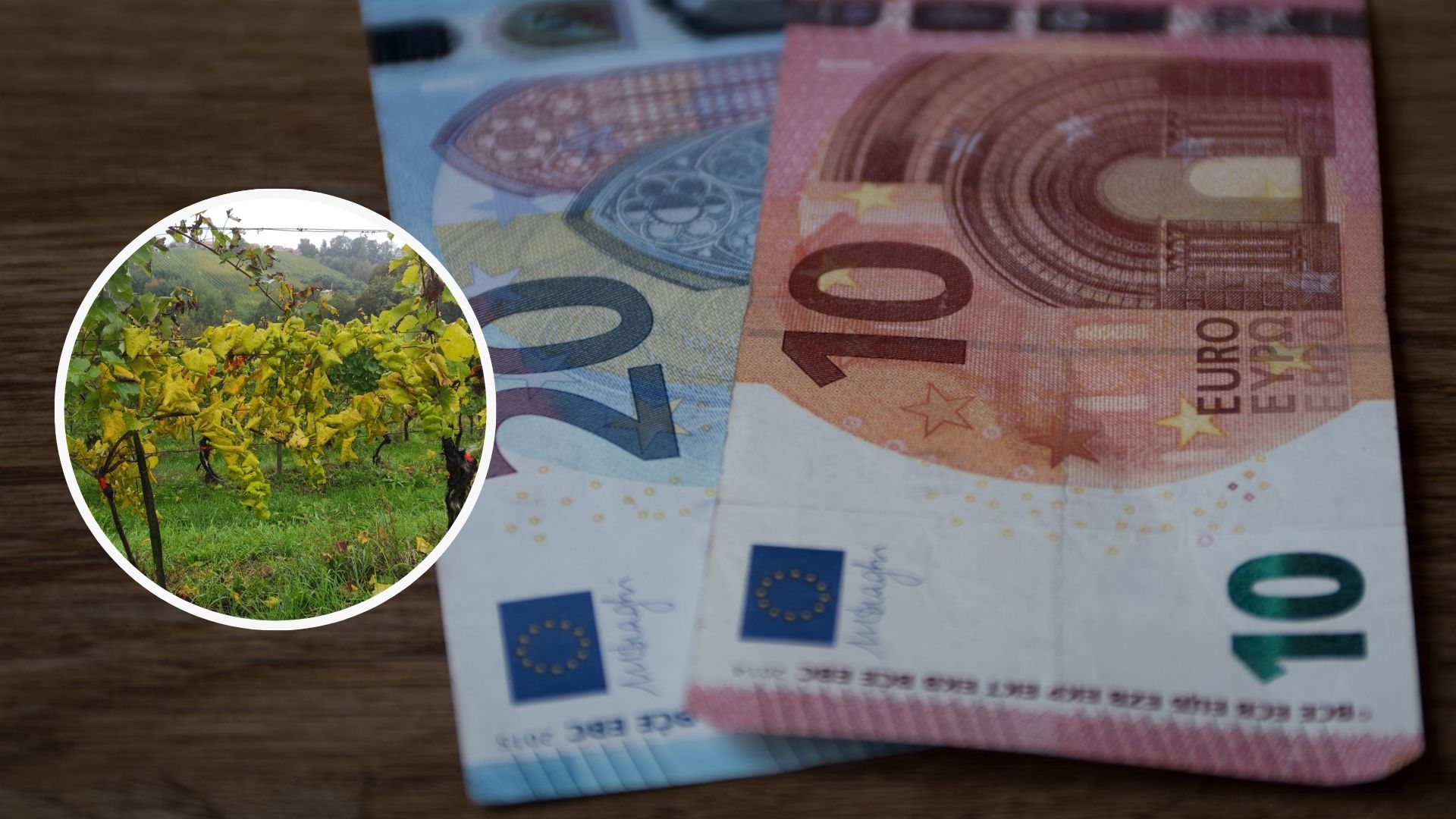 Finančno nadomestilo, za katerega mnogi ne vedo - ali ste upravičeni?