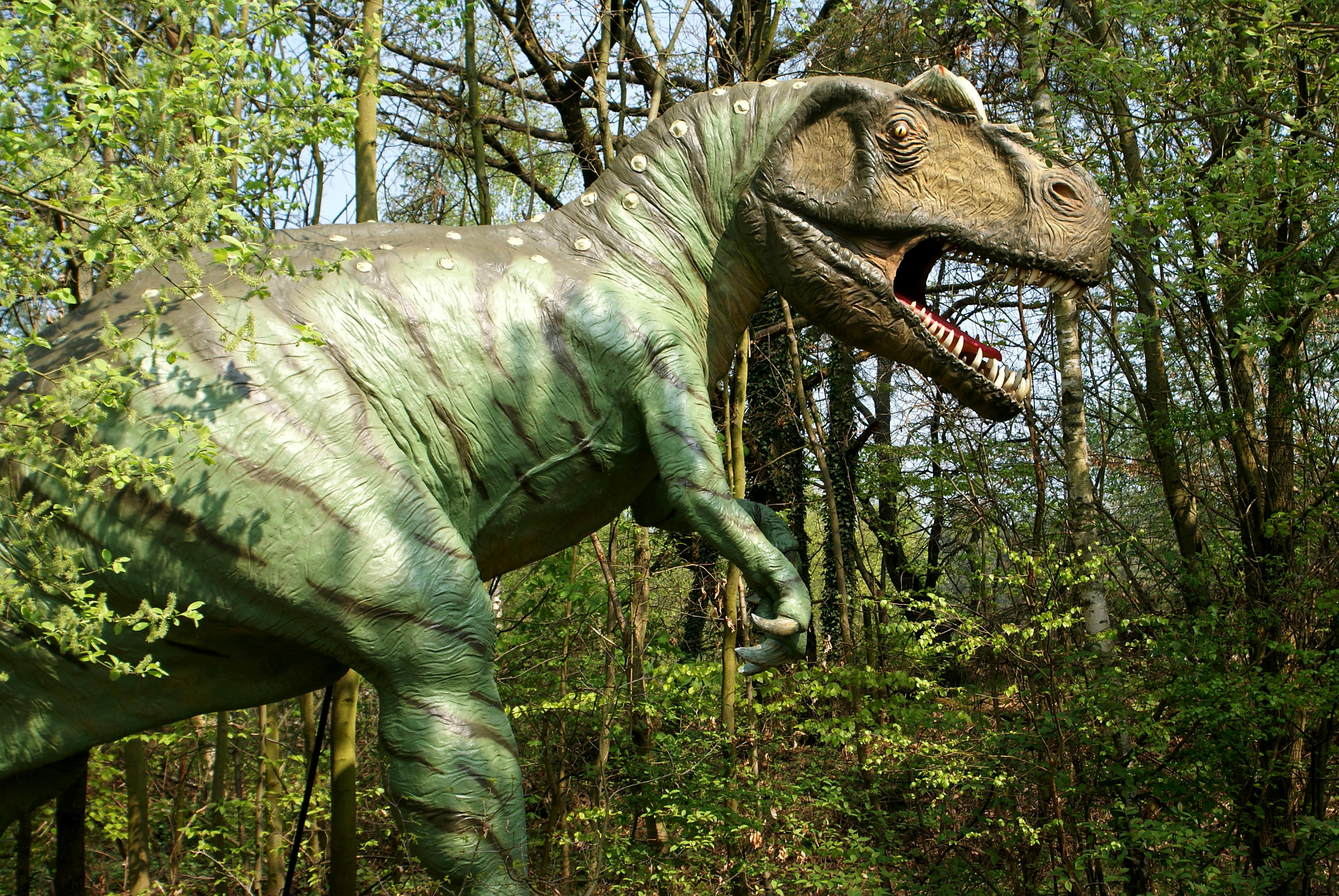 Nova študija: Dinozavri oblikovali pokrajino še bolj, kot smo mislili