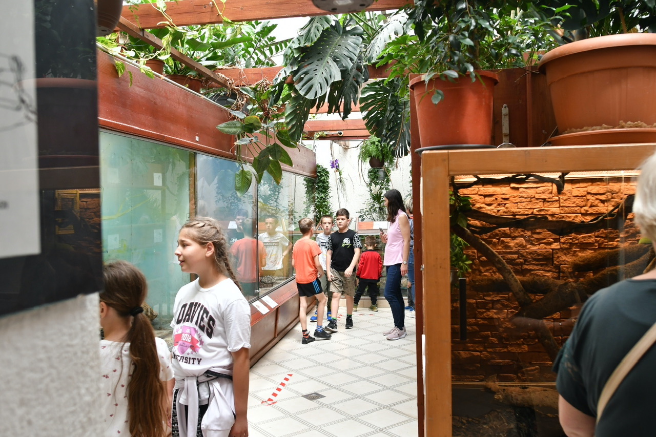 Prihodnost Akvarij-terarija v Mariboru ni najbolj svetla