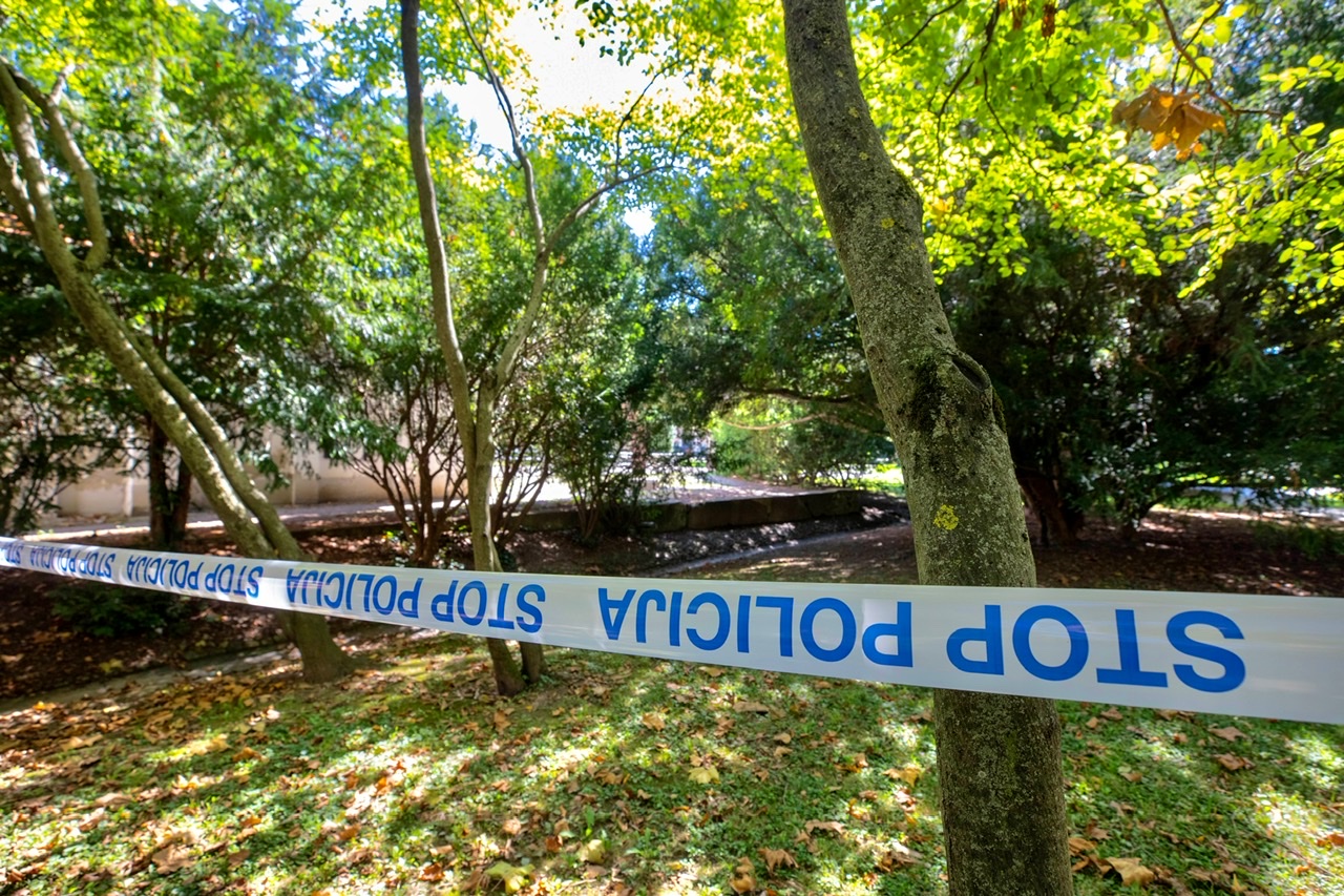 Brez višje kazni: Brutalen poskus umora v mariborskem parku končno dobil epilog