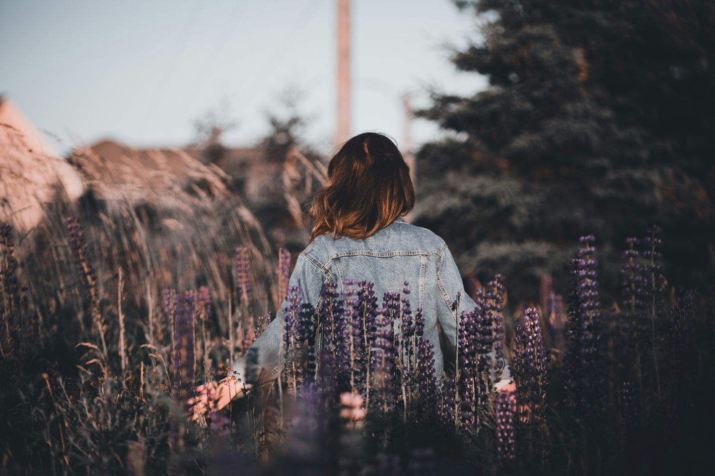 Leto 2026 bo prelomno: Ta astrološka znamenja čaka leto prebojev, sprememb in novih začetkov