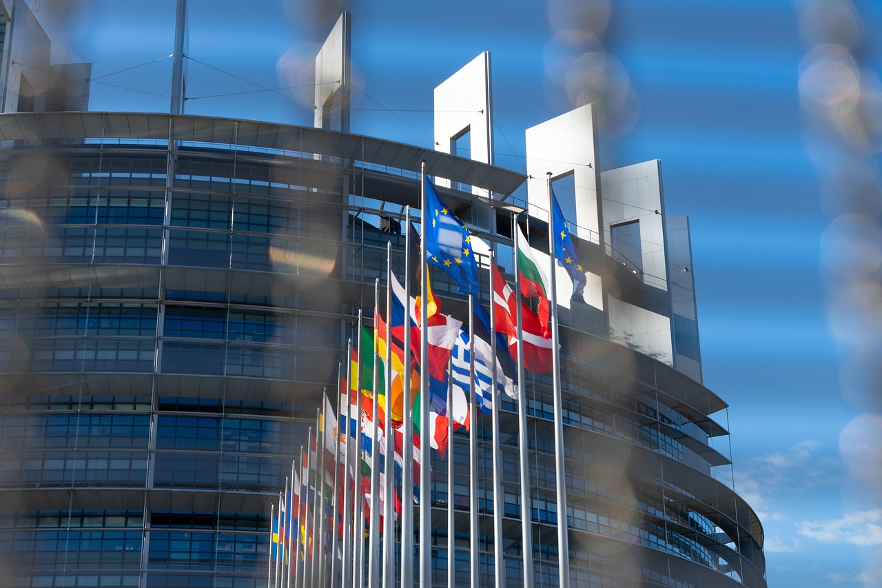 Kaj si Slovenci želijo od EU? Varstvo, gospodarstvo in enotnost na prvem mestu