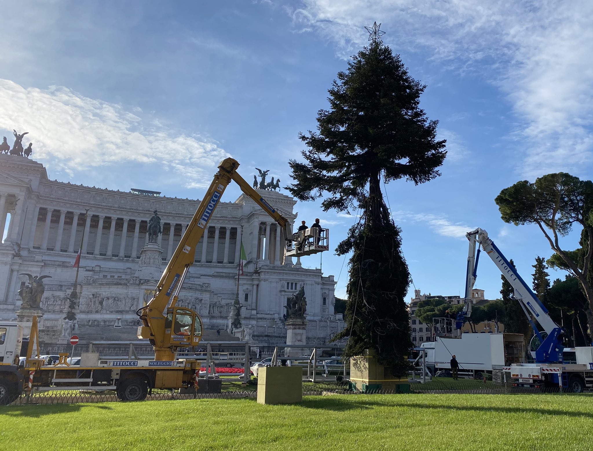 V Rimu razburja božično drevo
