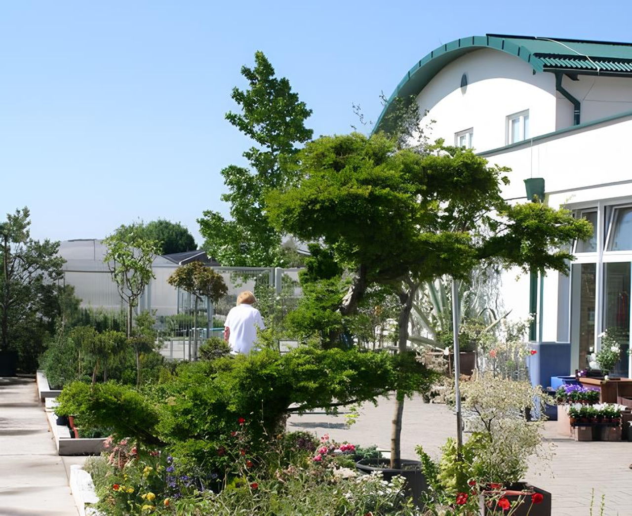 Se vrača Florina? Arsenovič namignil na veliki povratek nekdanjega 'mestnega vrtnarja'