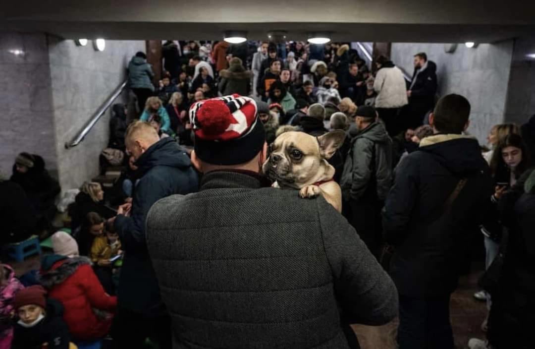 Iz Ukrajine na Poljsko v zadnjih 24 urah prispelo 35.000 beguncev