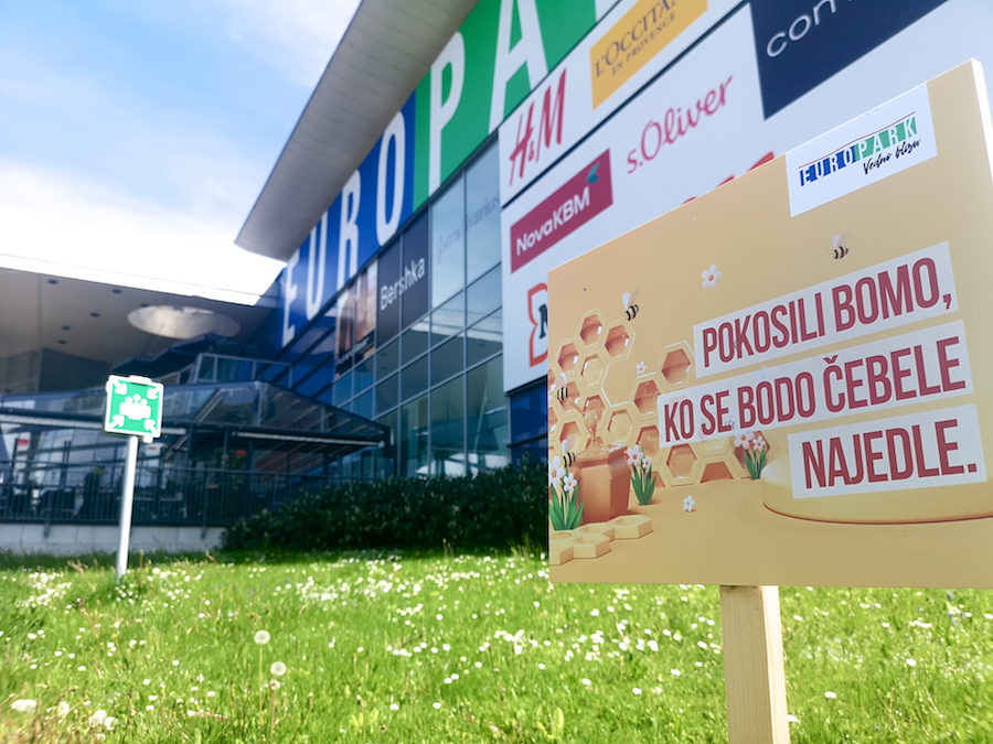 Maribor krasijo travniki za dobrobit čebel