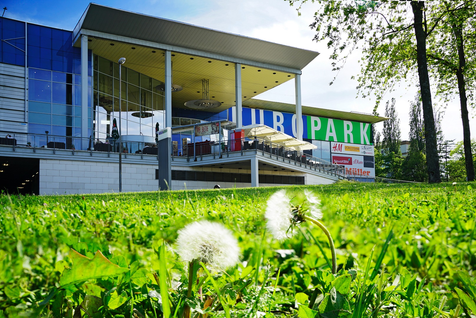 Izvirna darila za dan žena lahko najdete v Europarku