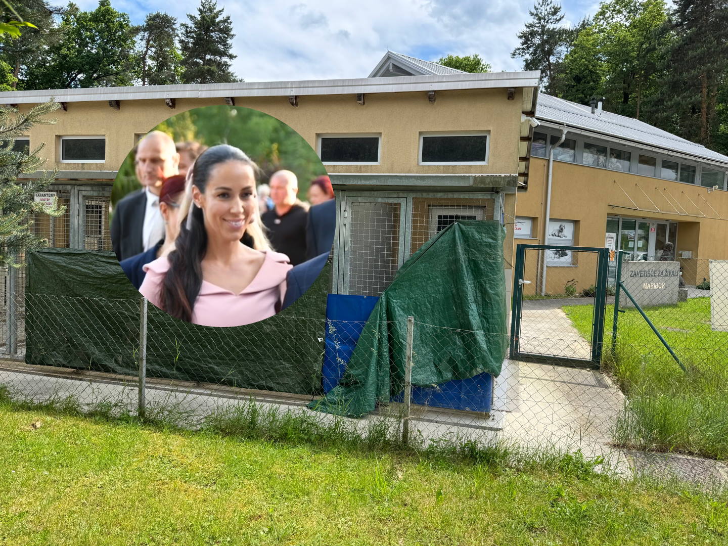 Tina Gaber po usmrtitvi psa po napadu v okolici Maribora:  »Umrla je, ker nihče ni imel poguma«