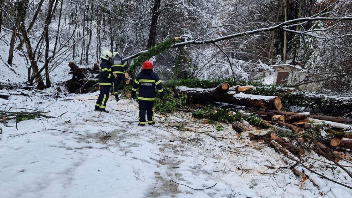 FOTO: Zaradi sneženja že mnogo težav, padla drevesa blokirala promet in ogrožala omrežja