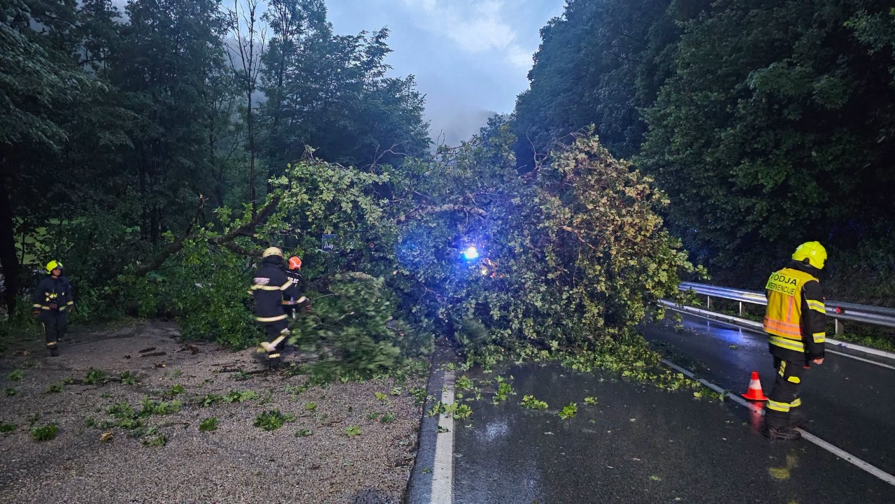 Močan veter odkrival strehe, na cestišče padlo tudi več dreves