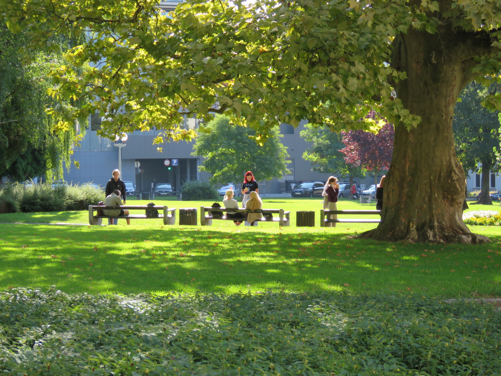 Tako toplo bo danes in v prihodnjih dneh