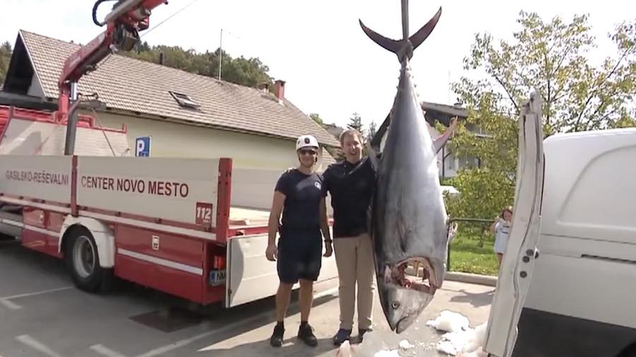 V Novem mestu dobili orjaškega tuna, pomagat morali tudi gasilci