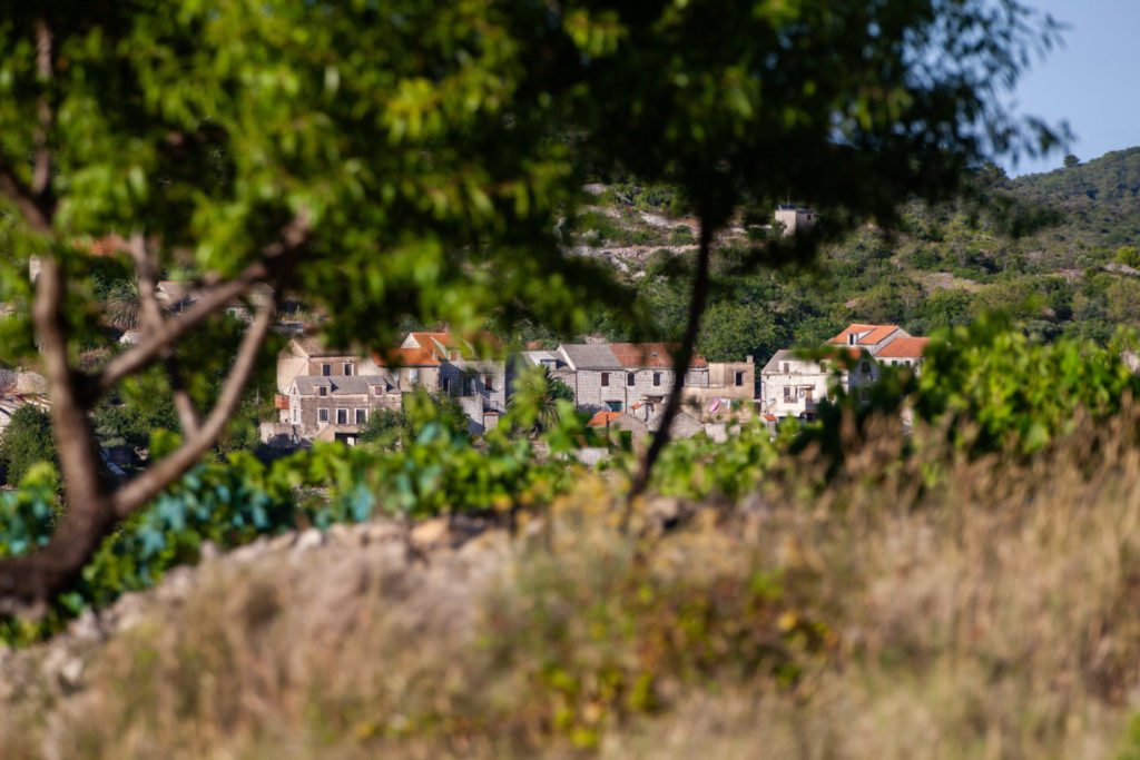 Policija na otoku Vis štiri osebe rešila suženjstva