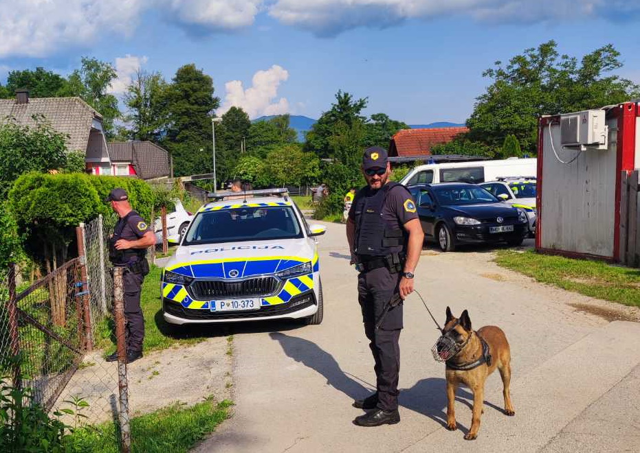 Streljal na voznika, ker je trčil v psa: Na vrata 32-letnika kmalu potrkala policija