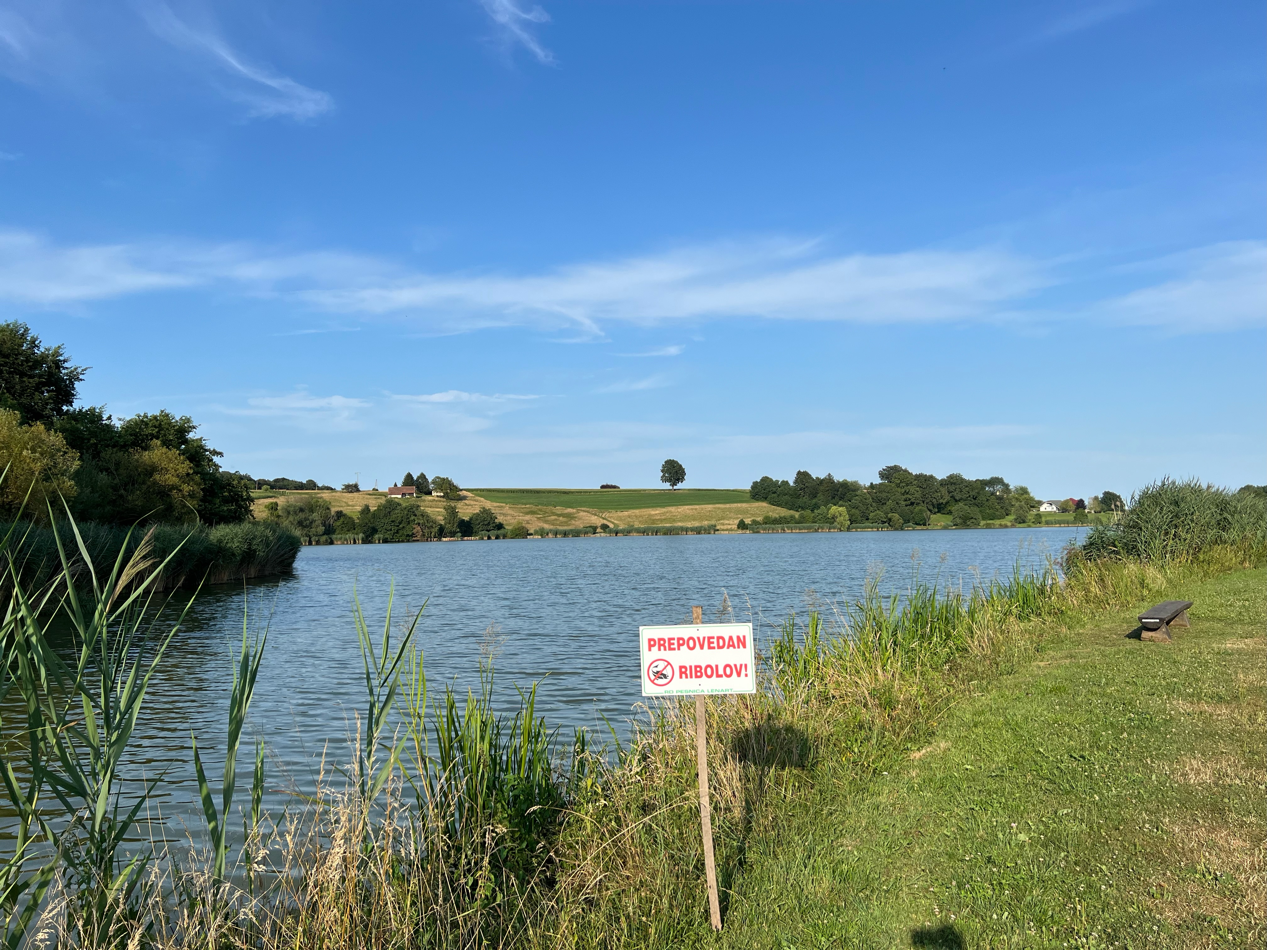 Koi herpes virus: Tudi ob štajerskih ribnikih in jezerih sodi z razkužili, ponekod celo prepovedali ribolov