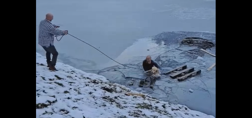 VIDEO: Neverjetno, hraber Slovenec skočil v ledeno vodo in rešil premraženega psa