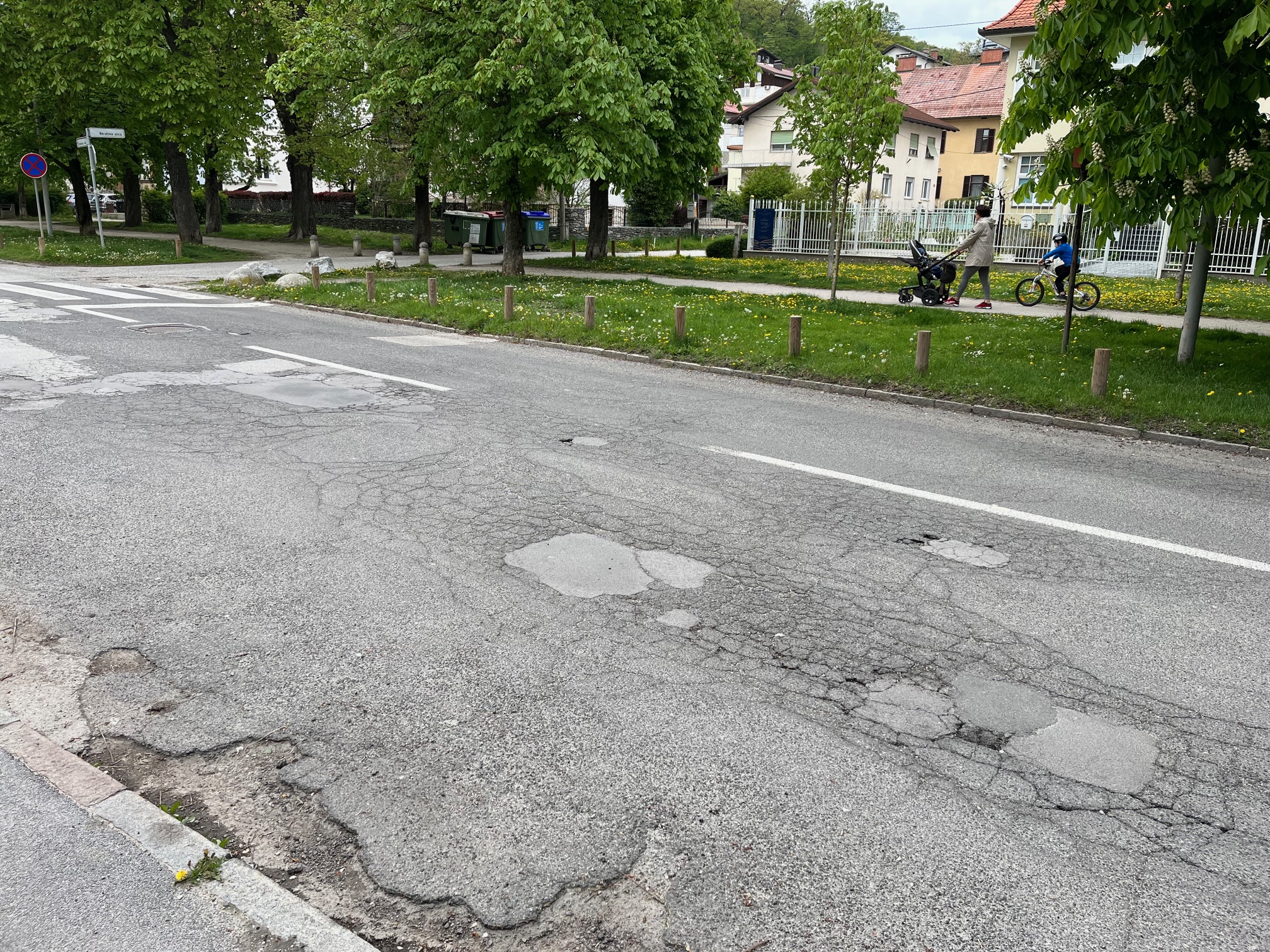 FOTO: Cesta skozi Tomšičev drevored še vedno čaka na obnovo