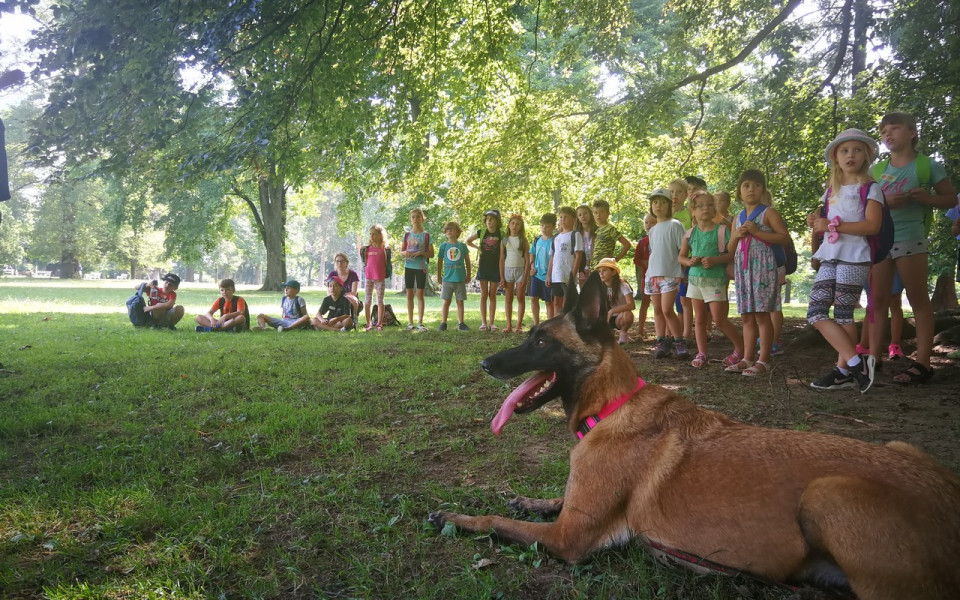 V Mariboru tudi prihodnji teden bogat počitniški program