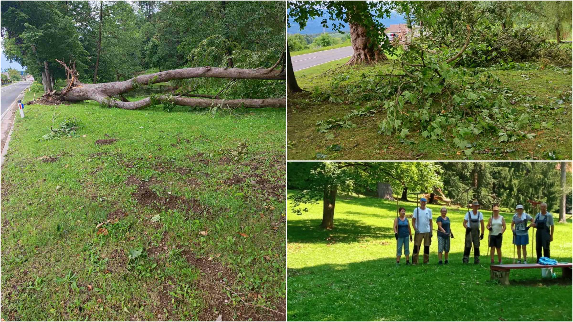 FOTO: V viltuškem parku padla nova drevesa, kdaj jih bodo odstranili?