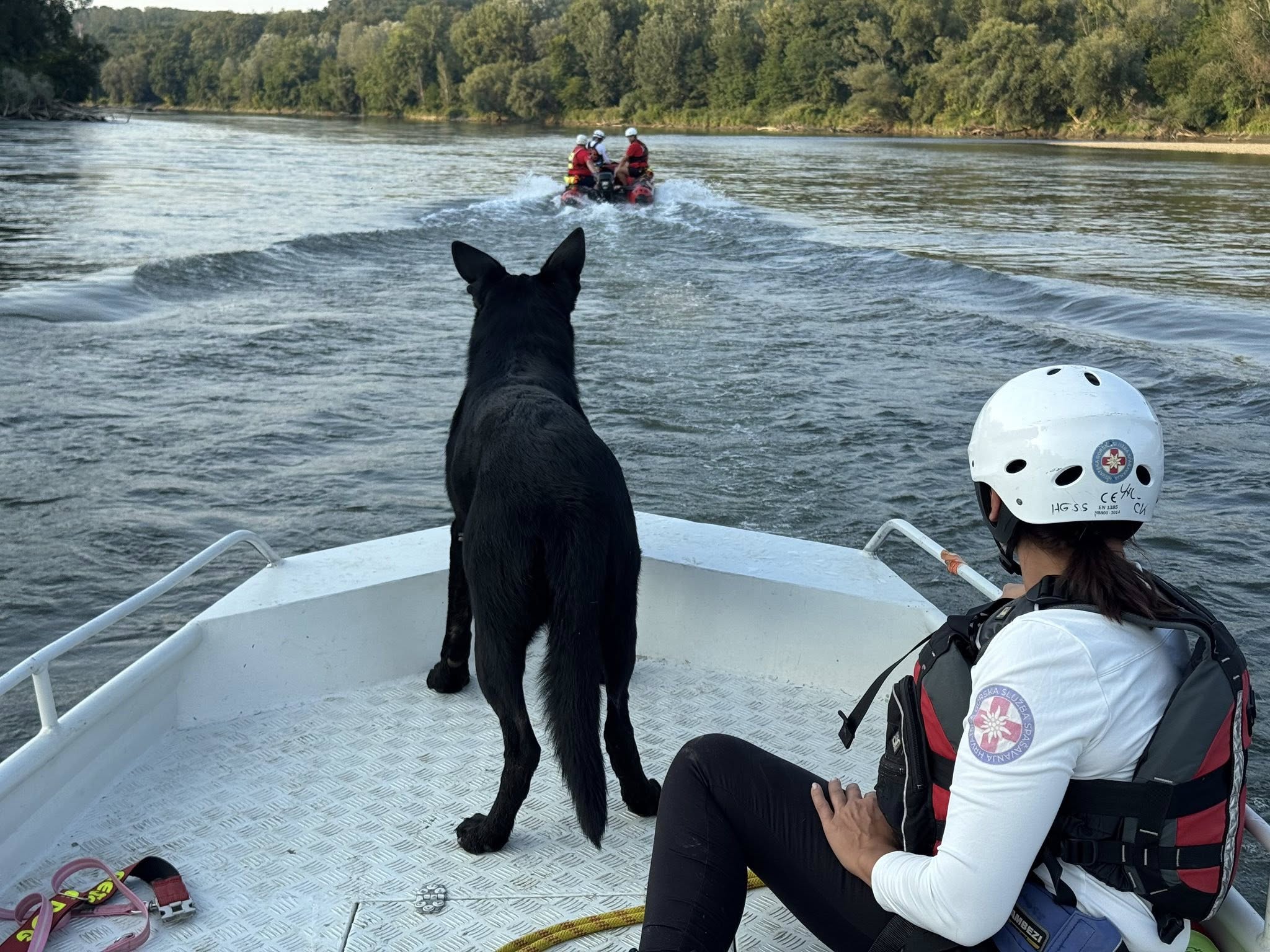 FOTO: Obsežna akcija na reki Dravi: 38-letnik izginil po skoku v vodo